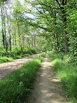 IMG_1122