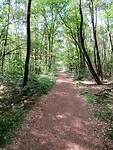 IMG_1123