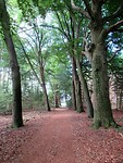 IMG_1124