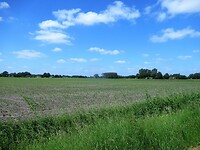 IMG_1125