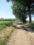IMG_1131