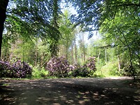 IMG_1140