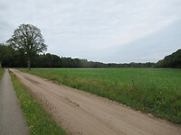 IMG_1072