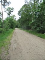 IMG_1074