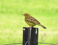 IMG_1080