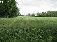 IMG_1082