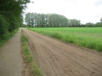 IMG_1083