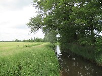 IMG_1092