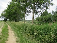 IMG_1096