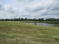 IMG_1097
