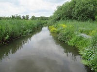 IMG_1098