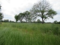IMG_1099