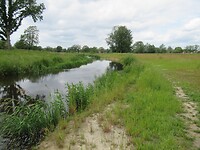 IMG_1100