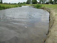 nieuwe oevers