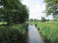 IMG_1110