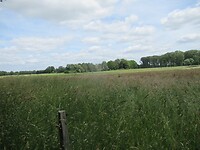 IMG_1112