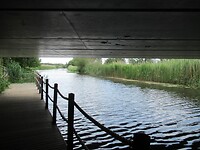 IMG_1113