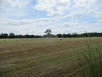 IMG_1114