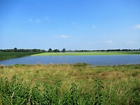 uiterwaarden