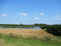 uiterwaarden