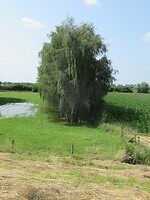 binnendijks ook water helaas