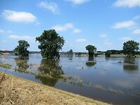 Hoogwater