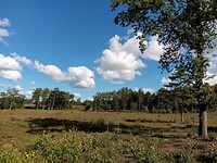 IMG_20200721_101927