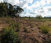 IMG_20200721_102035