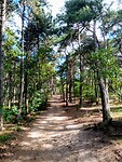 IMG_20200721_102305
