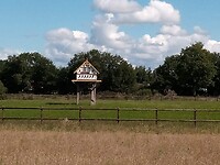 IMG_20200721_103257