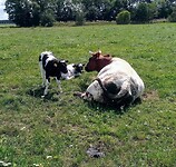 IMG_20200721_113821