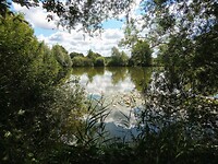 IMG_20200721_115009