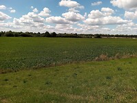 IMG_20200721_120338