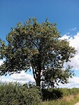IMG_20200721_122829