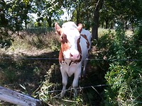 IMG_20200721_123717