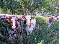 IMG_20200721_123736