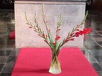 IMG_20200721_140629
