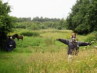 vogelverschrikkers
