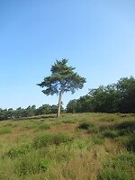 IMG_1268