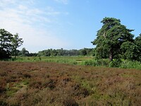 IMG_1269