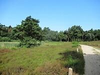 IMG_1270