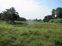 IMG_1271