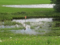 water staat te hoog om te wandelen