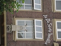 IMG_1387