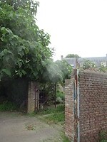 binnentuin