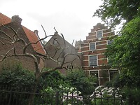 tuin