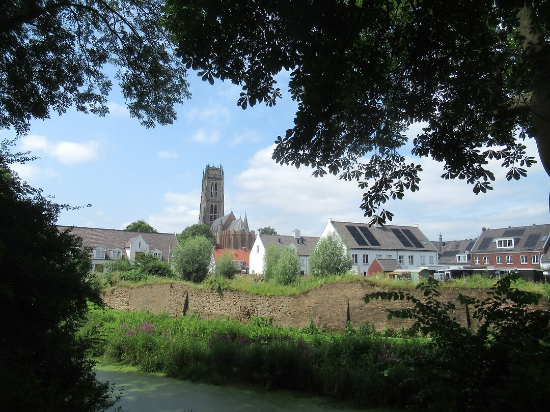 vanuit stadspark