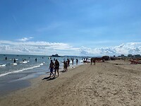 Rimini strand - 3 september
