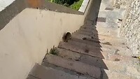 Vieste - 8 september