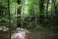 Natuurreservaat Gargano